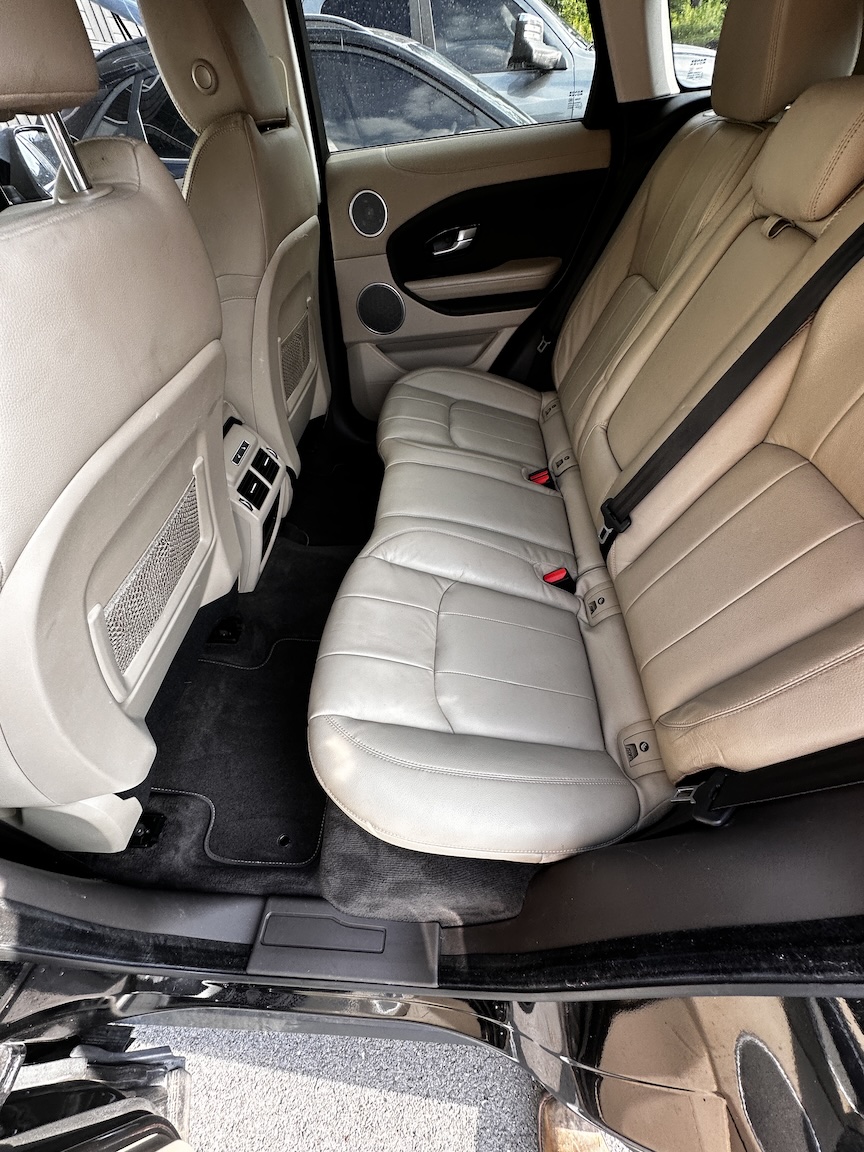Cleaned car back seat