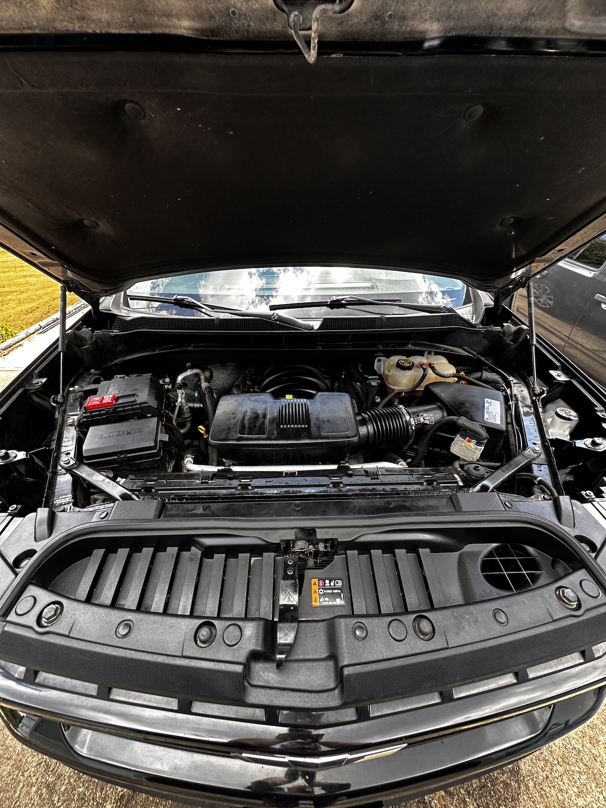 Cleaned car engine